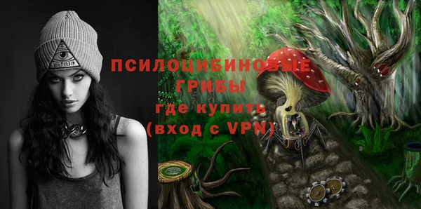 СК Алзамай