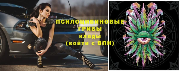 МДПВ Алексеевка