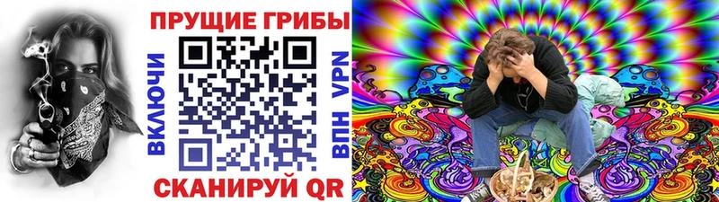 даркнет формула Тотьма Галлюциногенные грибы мицелий